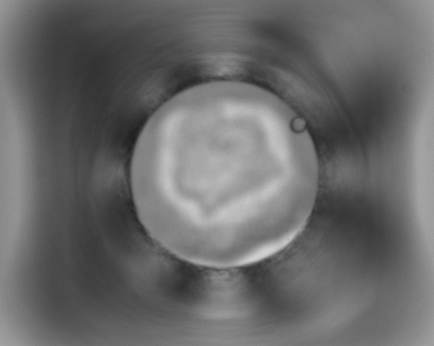 X0000113780415200910141042