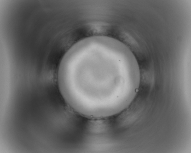 X0000113780419200910141042