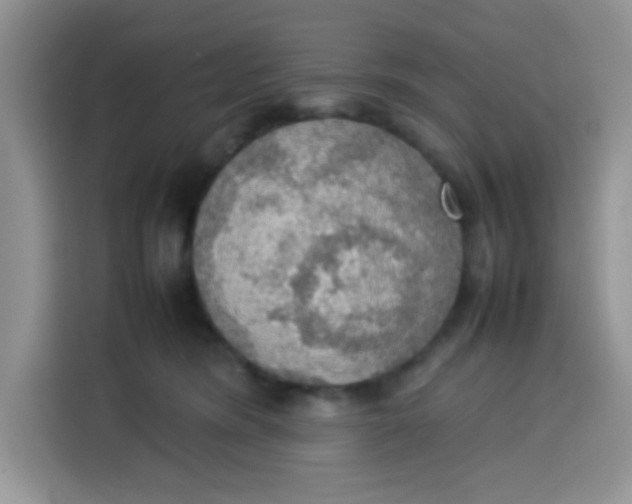 X0000113780420200910141042