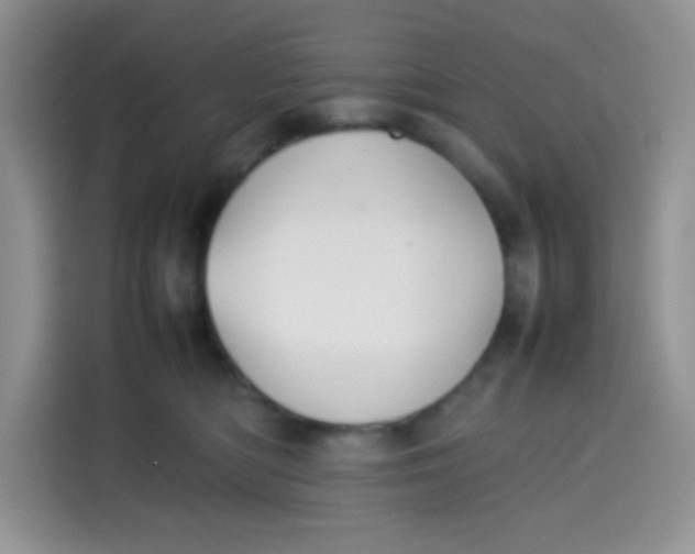 X0000113780422200910141042