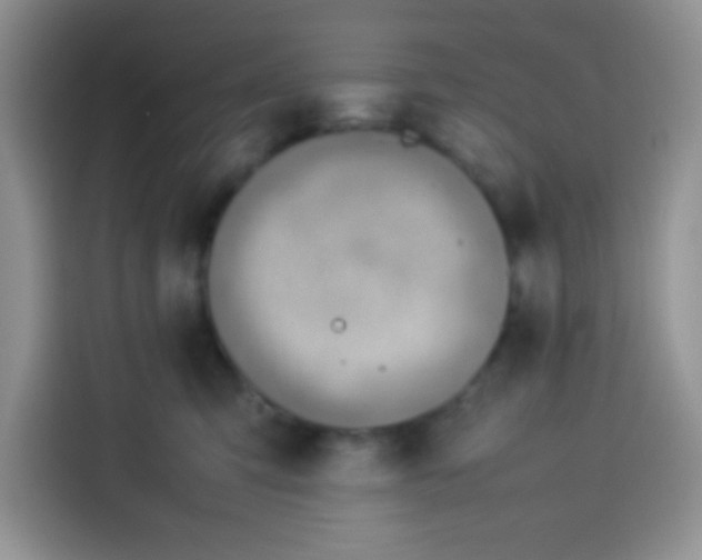 X0000113780423200910141042