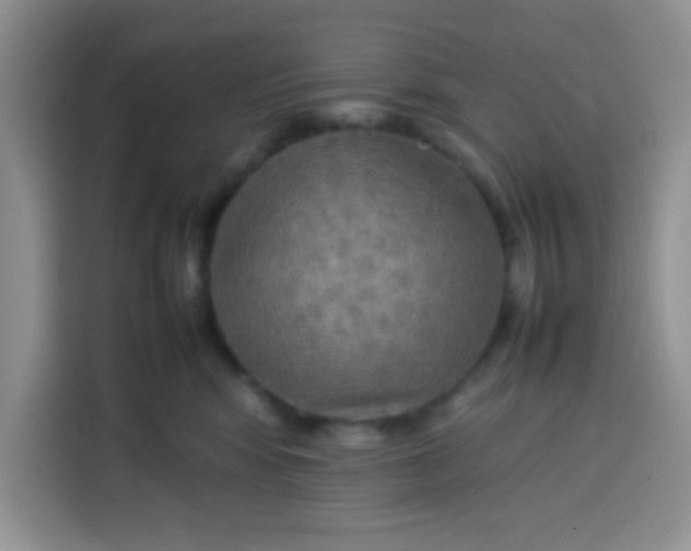 X0000113780424200910141042