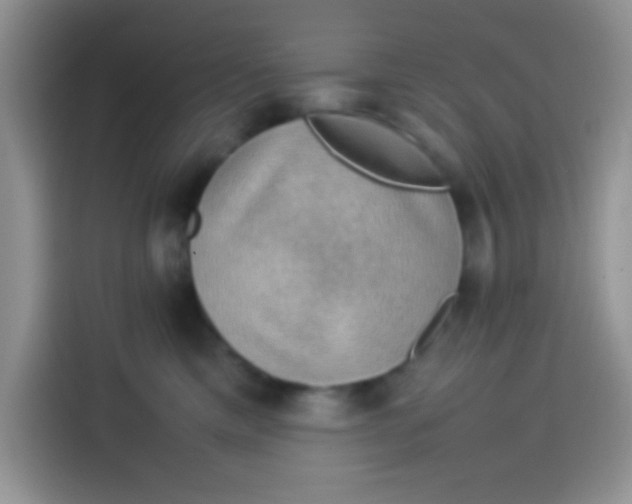 X0000113780425200910141042