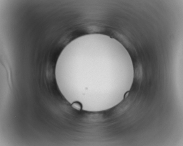 X0000113780426200910141042