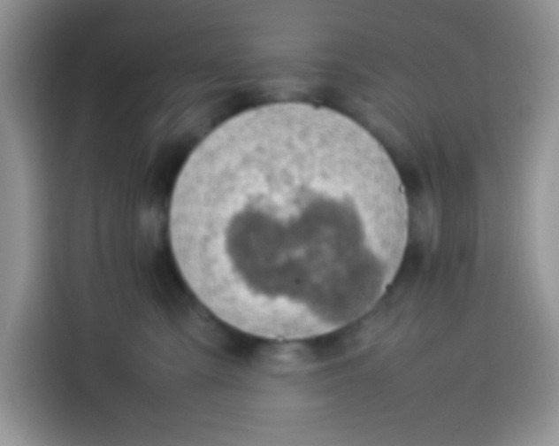 X0000113780427200910141042