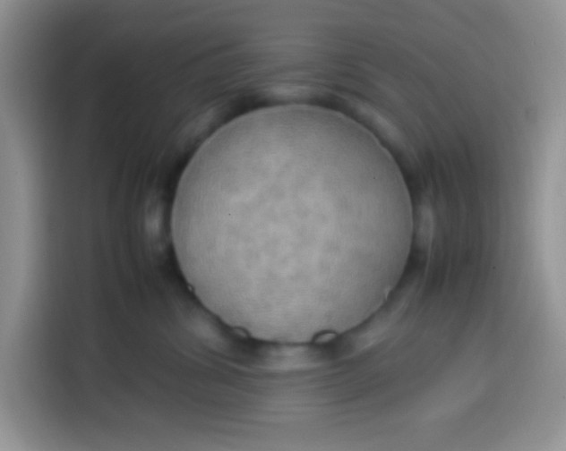 X0000113780428200910141042