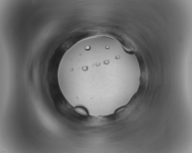 X0000113780429200910141042