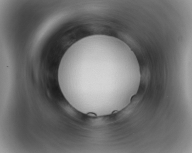 X0000113780430200910141042