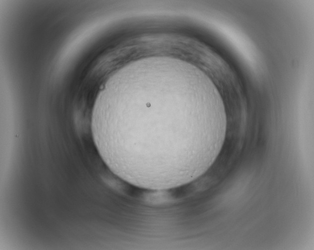 X0000113780431200910141042