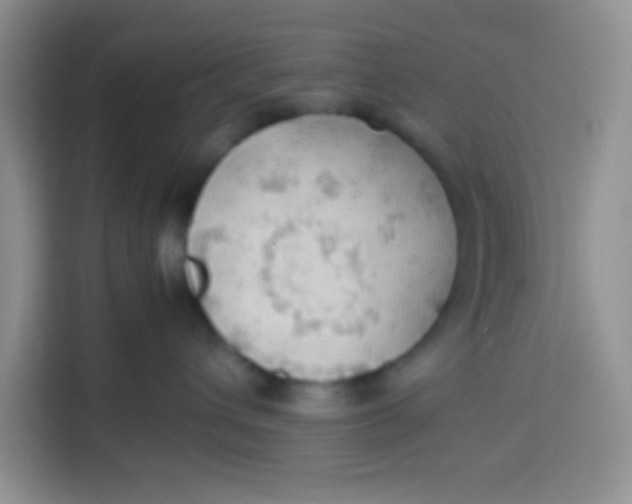 X0000113780432200910141042