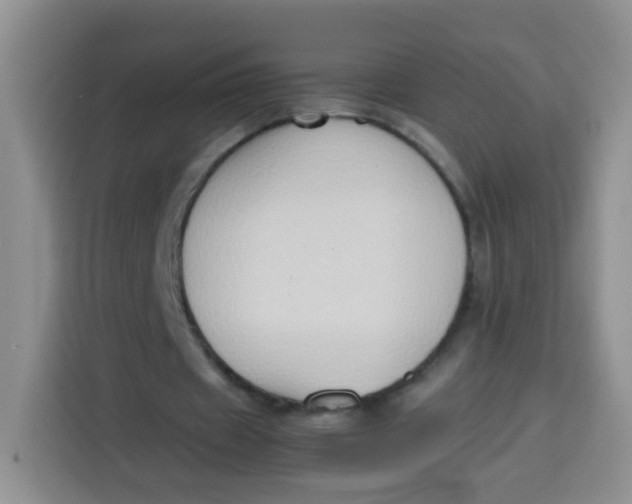 X0000113780433200910141041