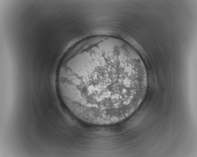 X0000113780434200910141041