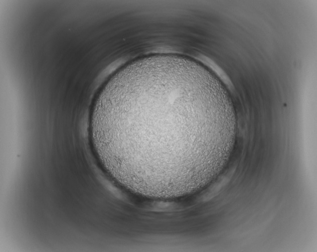 X0000113780437200910141041