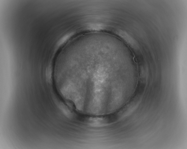 X0000113780440200910141041