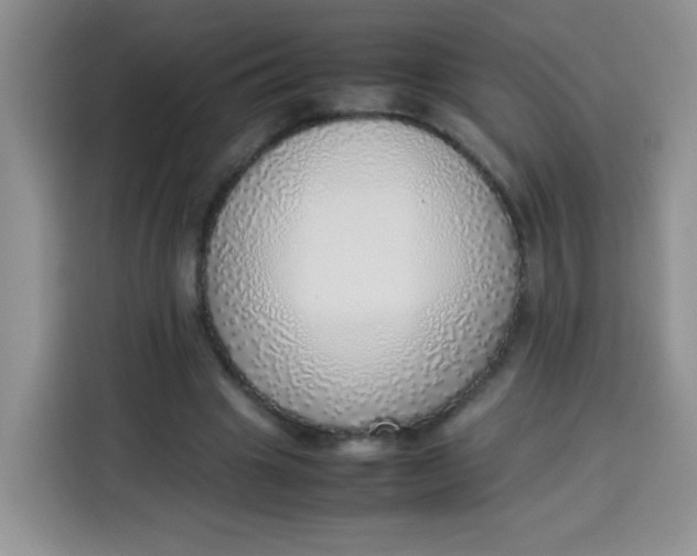 X0000113780441200910141041