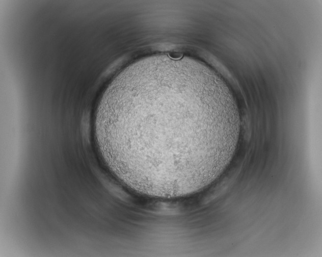 X0000113780442200910141041