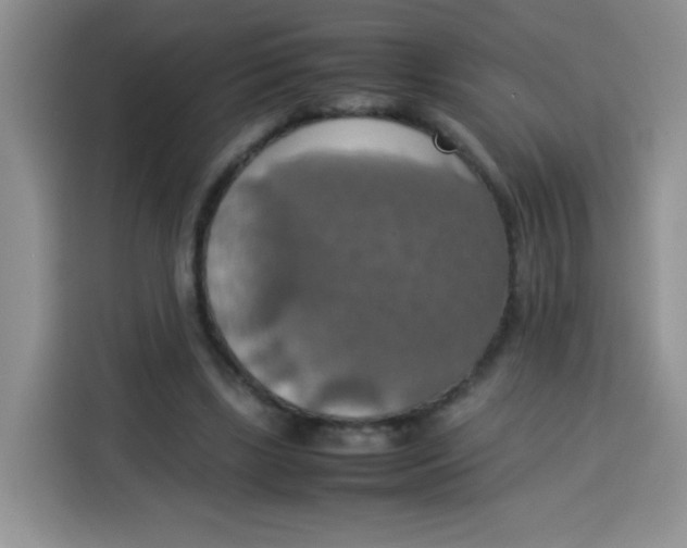 X0000113780443200910141042