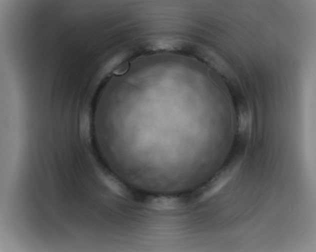 X0000113780444200910141042