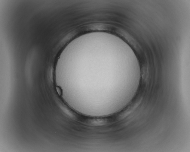 X0000113780445200910141042