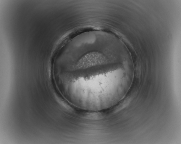 X0000113780446200910141042