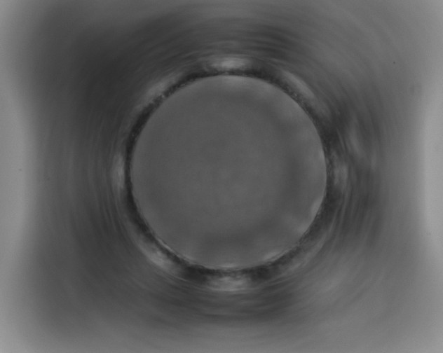 X0000113780447200910141042