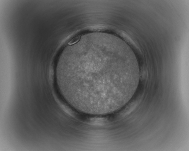 X0000113780448200910141042