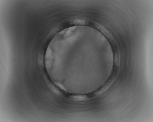 X0000113780449200910141042