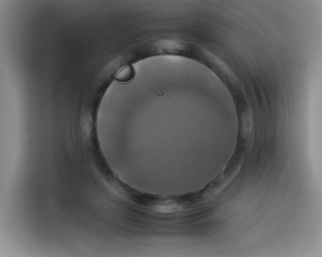 X0000113780451200910141042