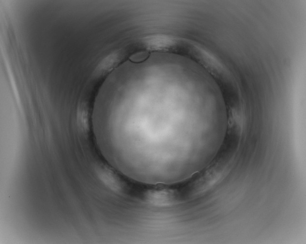 X0000113780452200910141042