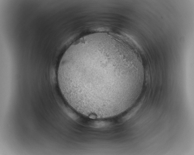 X0000113780453200910141042