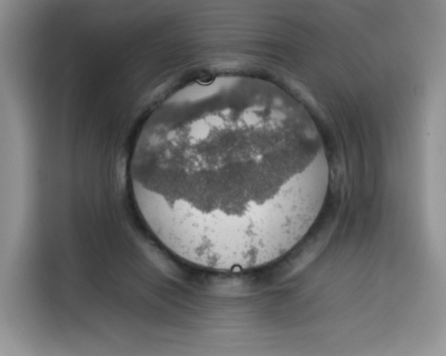 X0000113780454200910141042