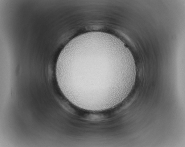 X0000113780455200910141042