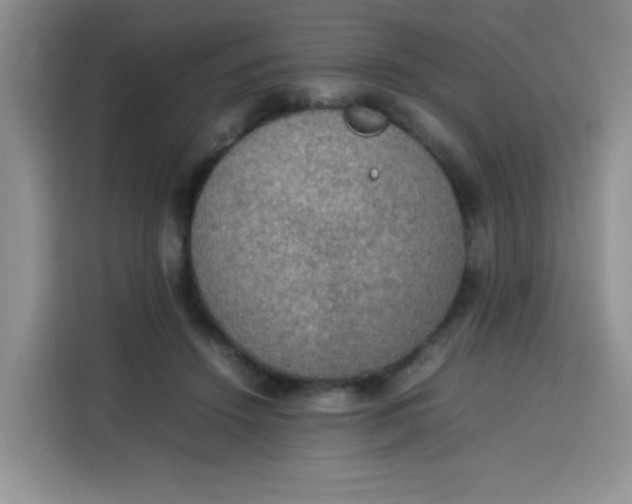 X0000113780456200910141042