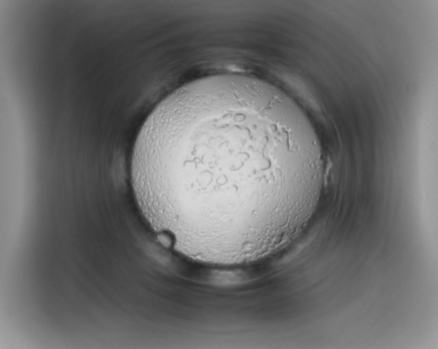 X0000113780457200910141042