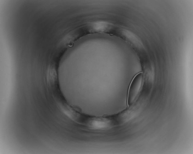 X0000113780459200910141042