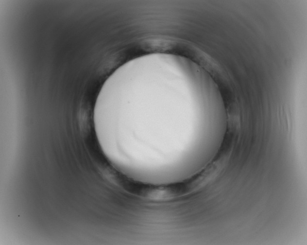 X0000113780460200910141042