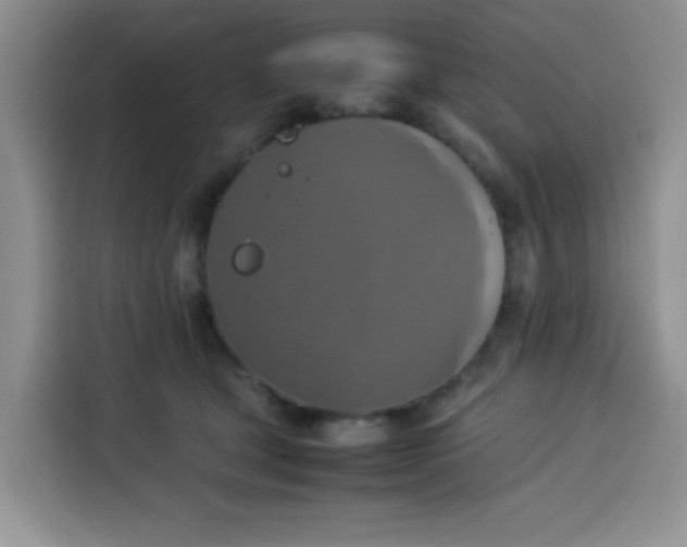 X0000113780465200910141042