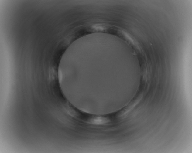 X0000113780467200910141042