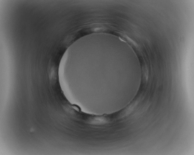 X0000113780475200910141042