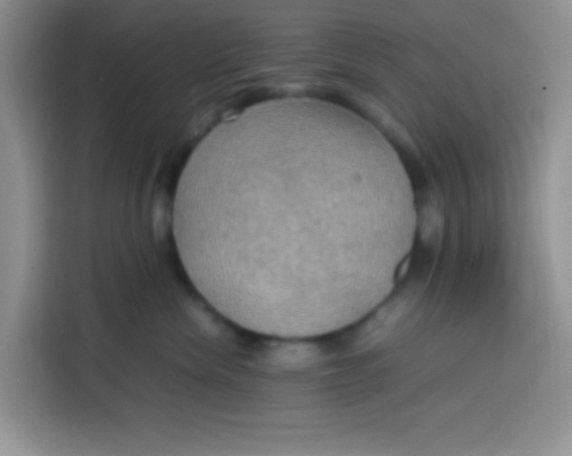 X0000113780476200910141042