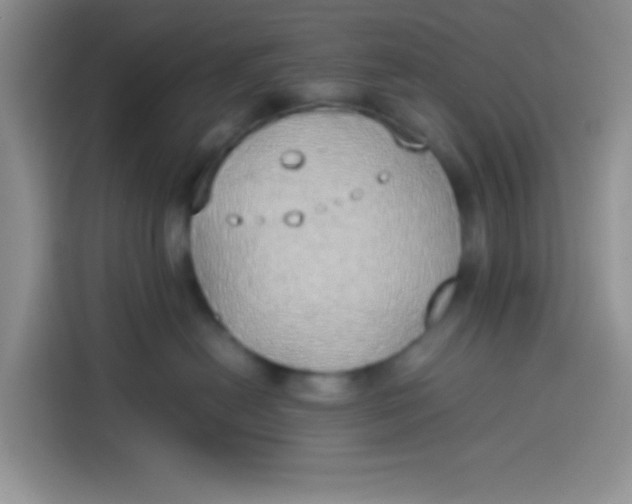 X0000113780478200910141042