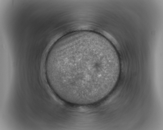 X0000113780481200910141041