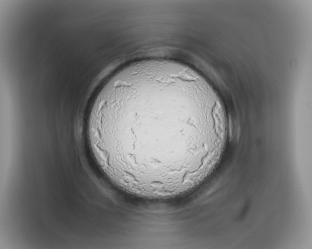 X0000113780483200910141041