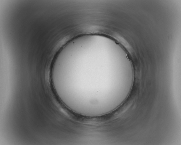 X0000113780485200910141041