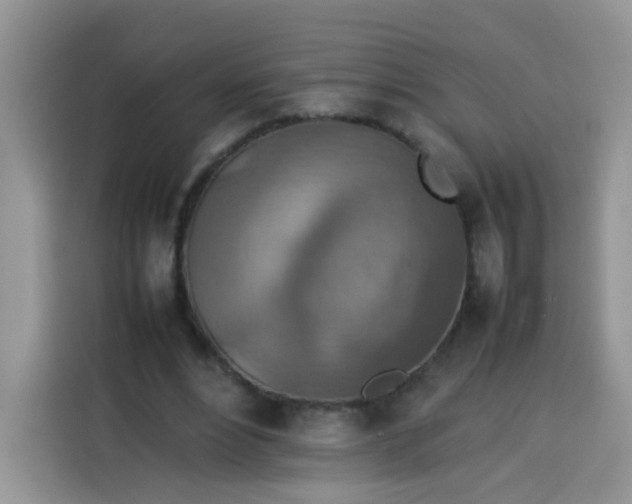 X0000113780488200910141041