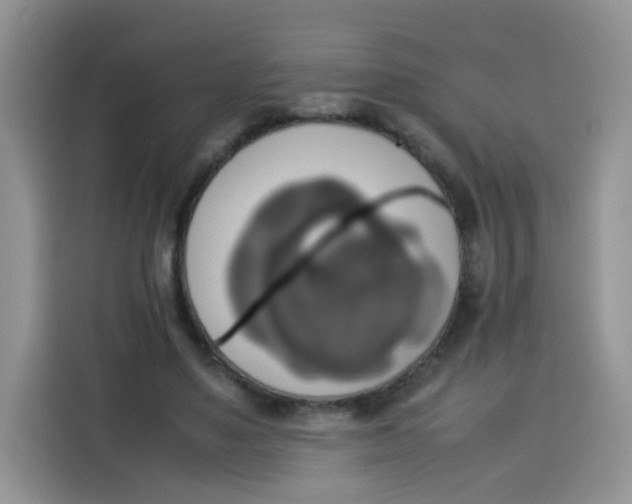 X0000113780491200910141041