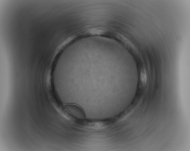 X0000113780492200910141041