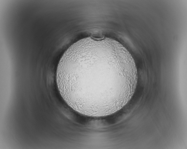 X0000113780499200910141041