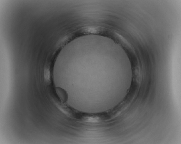 X0000113780500200910141041