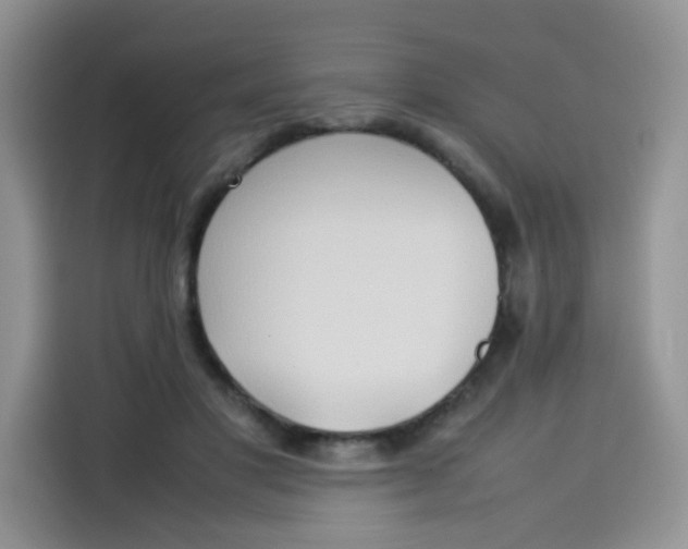 X0000113780501200910141041